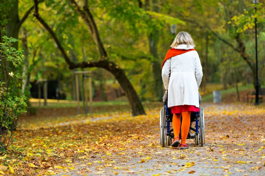 Frau schiebt eine Senior:in im Rollstuhl
